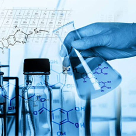 全社会树立科学的成才观